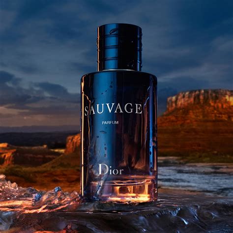 eau dior sauvage|Dior Sauvage 100ml best price.